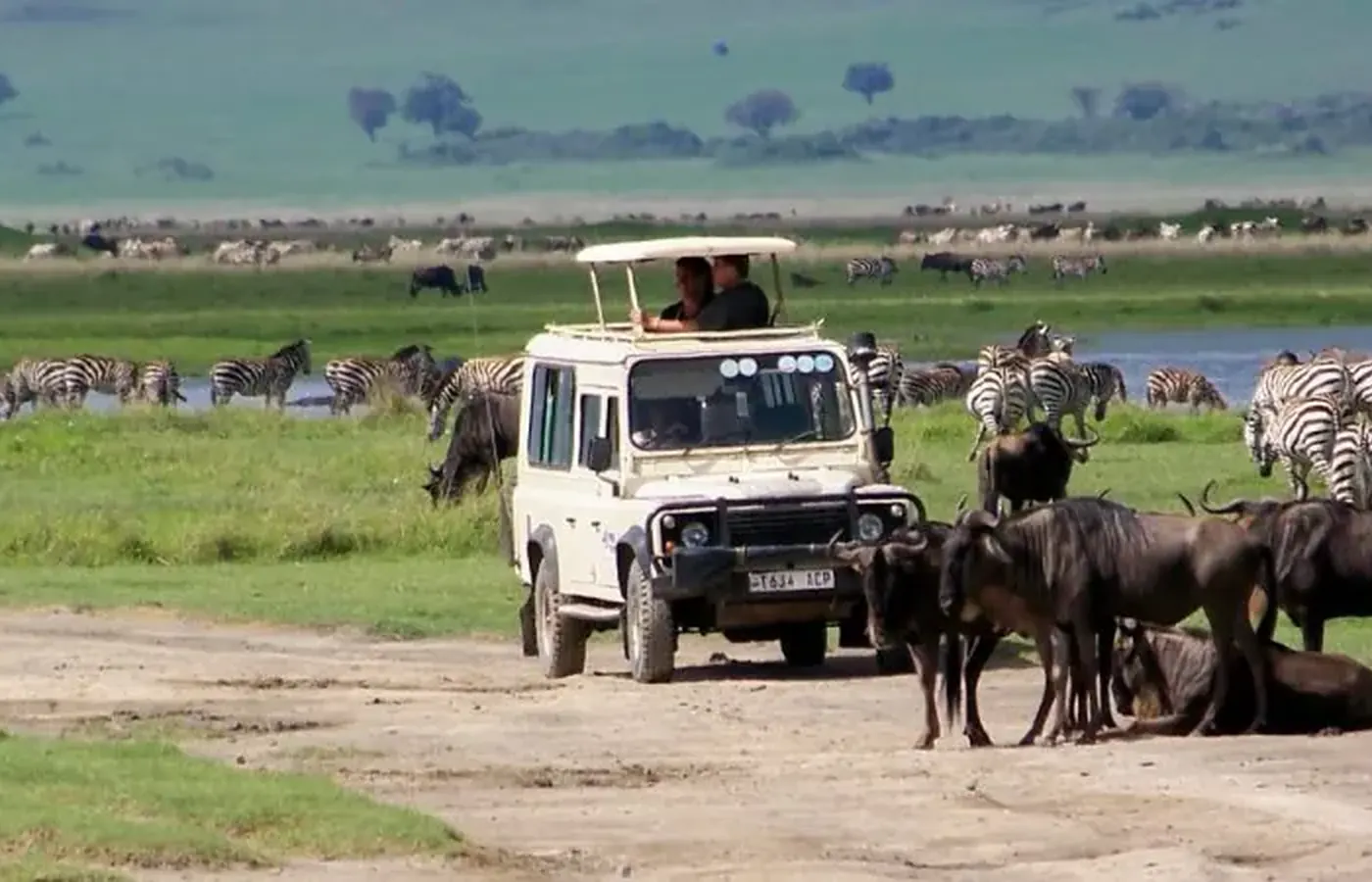 7-Day Private Fly-In Southern Tanzania Ruaha and Nyerere Safari From Dar Es Salaam image 1