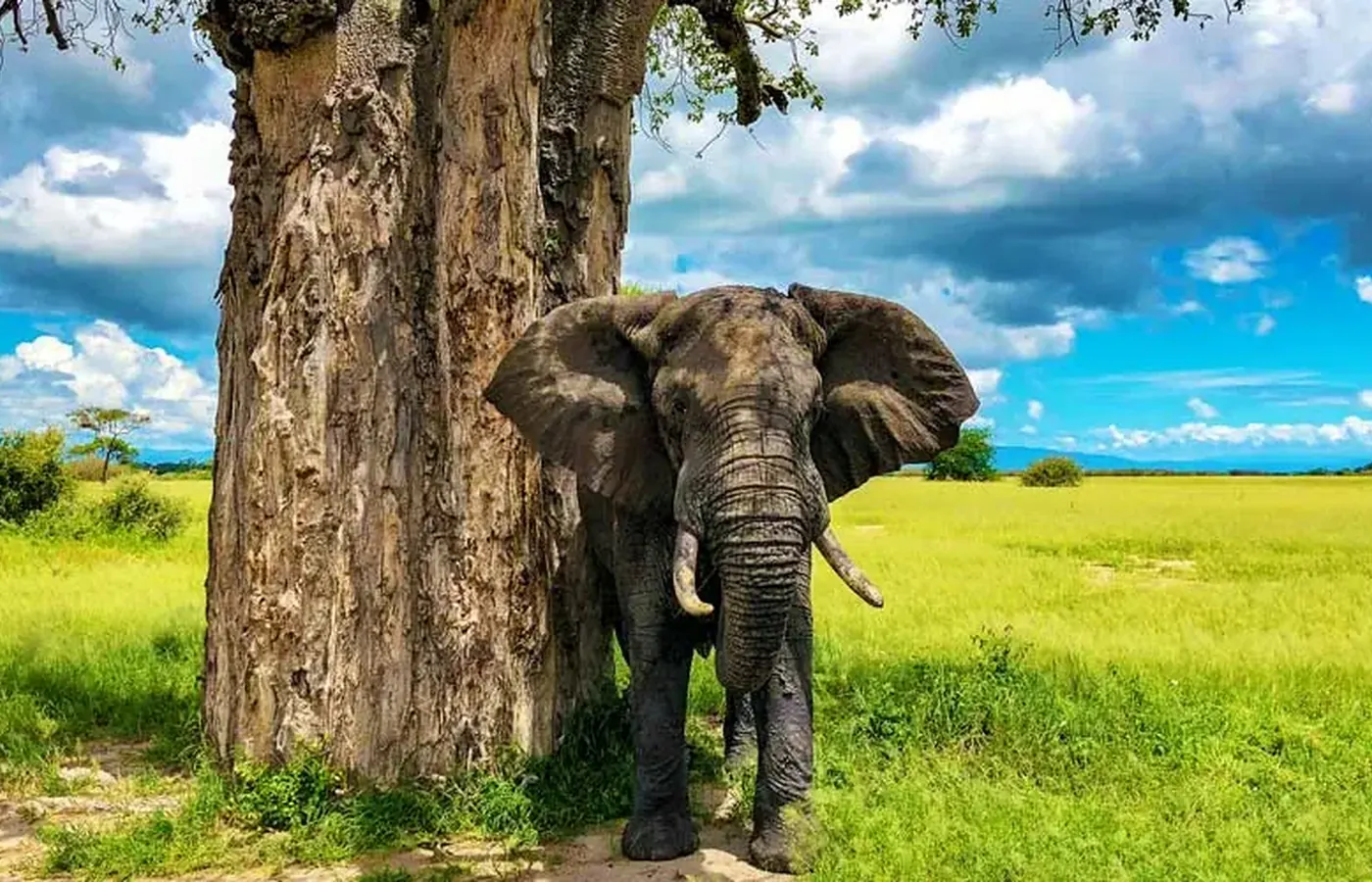 3-Day Discover Private Safari Northern Circuit Safari with Flexible Start image 1