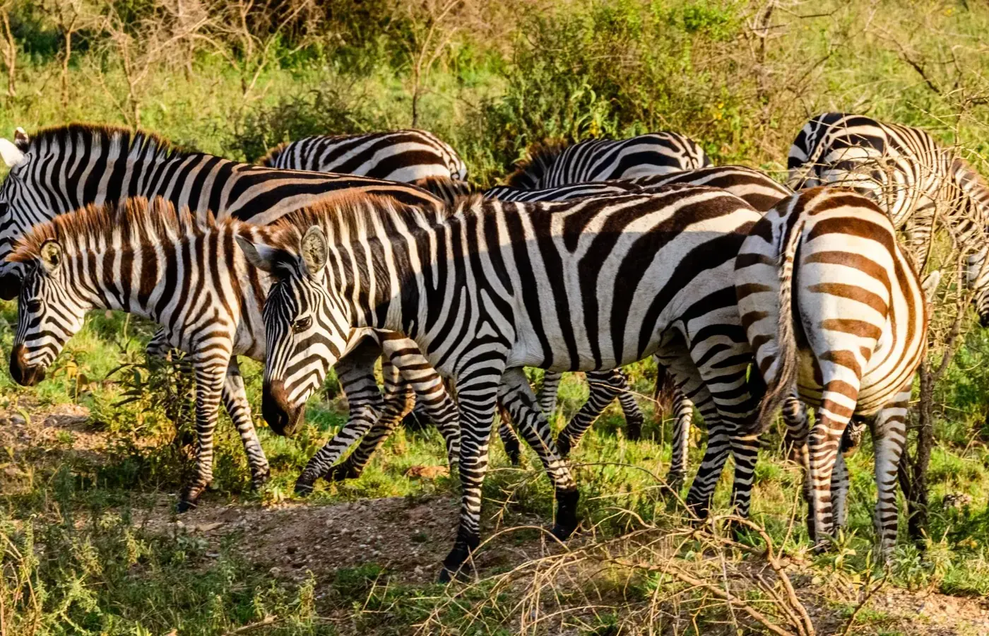 2-Day Best Midrange Lodge Best Day Trips from Moshi and Arusha From Kigali image 1