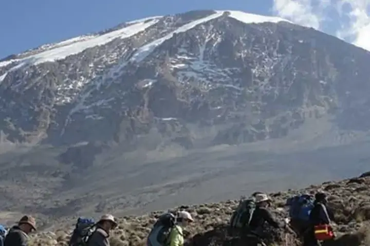 7-Day Signature Family Safari Kilimanjaro Umbwe Route Climb From Moshi image 4