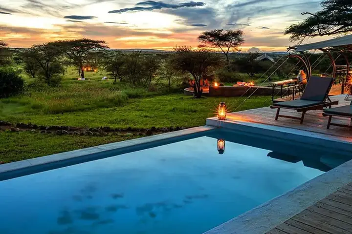 4-Day Great Private Safari Ndutu Calving Season Safari with Flexible Start