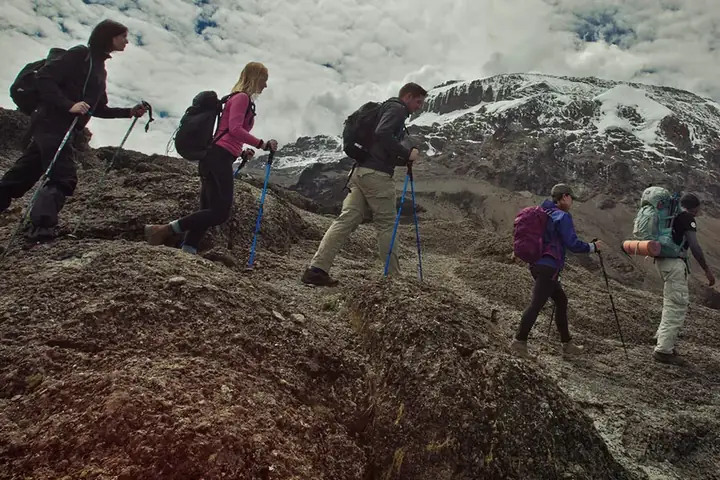 7-Day Best Private Safari Kilimanjaro Lemosho Route Climb From Arusha
